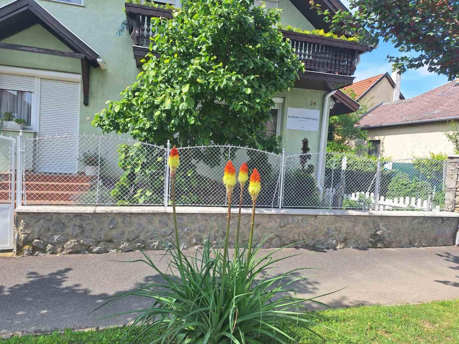 Rohonci Vendeghaz Hotel Koszeg Bagian luar foto